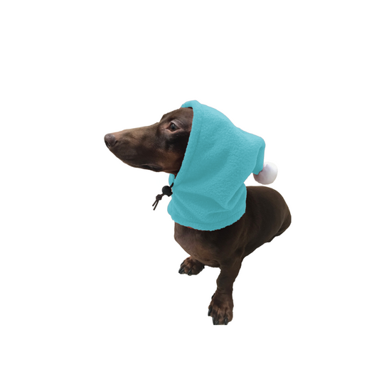 Aqua Blue Pup Topper